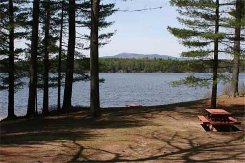 Woodbound Inn Rindge Esterno foto